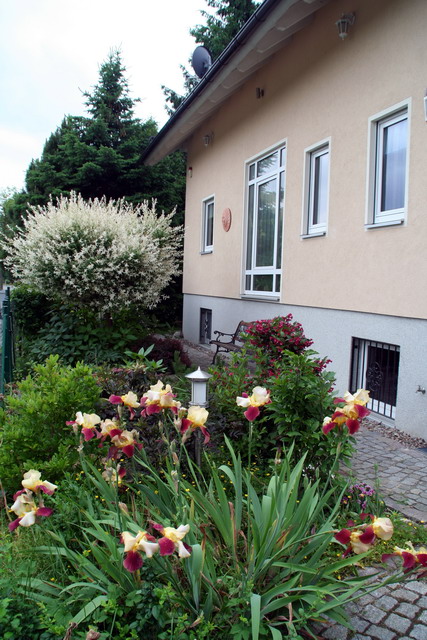 Vorderseite