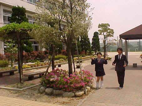 auf dem Schulgel�nde