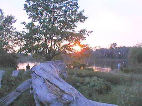 Lake 03